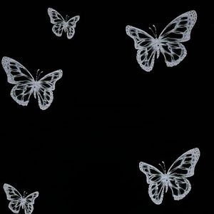 Meet your Posher, Ariana